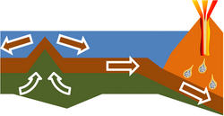 An oceanic plate is added to by upwelling (left) and consumed at a subduction zone (right).