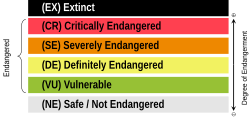 UNESCO's five levels of language endangerment