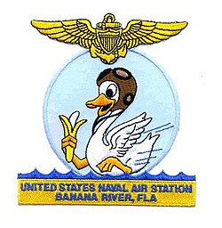 NAS Banana River patch
