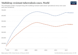 A graph showing the trend in estimated prevalence (total cases) and incidence (annual new cases) of MDR-TB from 1990 to 2021