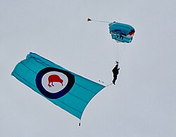 A member of the RNZAF Parachute Training and Support Unit trails the paratrooper flag during the air show at Whenuapai in March 2009.