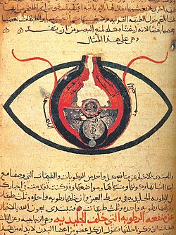 The eye, according to Hunain ibn Ishaq from a manuscript dated c. 1200