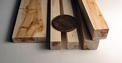 J. communis wood pieces, with a U.S. penny for scale, showing the narrow growth rings of the species