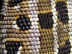 Skin of a sand lizard, showing squamate reptiles iconic scales