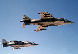 Two Harriers flying