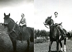 By the 1930s and 1940s most horse riding had become occasional and leisurely or competitive rather than being the common method of transportation it had been for centuries before