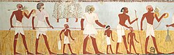 Measuring and recording the harvest, from the tomb of Menna at Thebes (Eighteenth Dynasty)