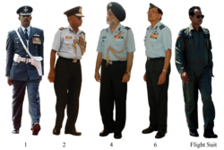 IAF officers in uniform