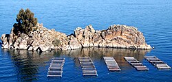 A North American lake trout fishing farm on Lake Titicaca near Copacabana, Bolivia. Since their introduction in the 1930s, trout have been an invasive species endangering the local fish population.[86]