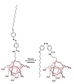 Trans-cis isomerization of azo-POSS, leading to the folding the dodecyl alkyl tail on the POSS head[8]