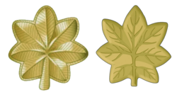 US Army/Air Force style major insignia on the left and US Marine Corps on the right