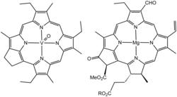 Structure of a vanadium porphyrin compound (left) extracted from petroleum by Alfred E. Treibs, father of organic geochemistry. Treibs noted the close structural similarity of this molecule and chlorophyll a (right).[45][46]
