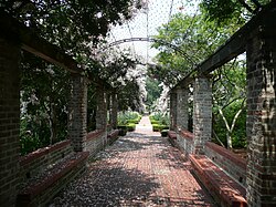 Walkway in the New Orleans Botanical Garden