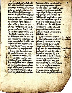 A page from Konungs skuggsjá