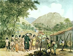 Village of Christianized Tapuyos Indians, Brazil c. 1820 CE