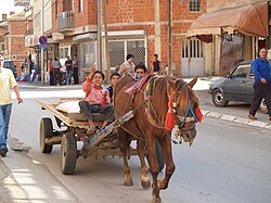 Roma people in Gjakova, Kosovo in 2005