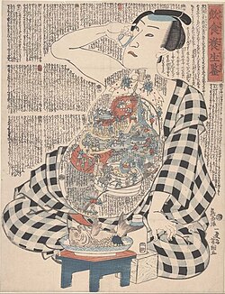 Dietary life rules, Japan, Edo period. Illustrating the ill effects of drinking alcohol on the digestive system.