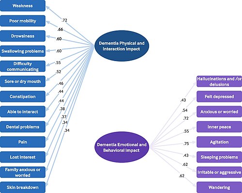 IPOS-Dem subscales used in assessments of symptoms and concerns in advanced dementia care