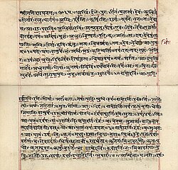 The Rigveda is the first among four Vedas[note 22] and is one of the oldest religious texts. This Rigveda manuscript is in Sanskrit.