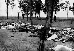 Armenian genocide victims in 1915