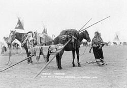 Kainai (Blood) women with travois.