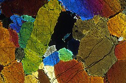 Photomicrograph of olivine adcumulate from the Archaean komatiite of Agnew, Western Australia.