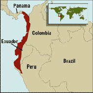 Tumbes-Chocó indicated in red. The lower Magdalena Valley is in north-western Colombia (just north-east of the region marked in red).