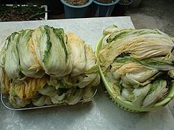 Salted napa cabbage before making kimchi. Cabbage is usually marinated twice to help maintain the salt in the dish.