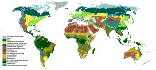 World environments map provided for comparison with maps above