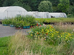 Dundreggan Tree Nursery