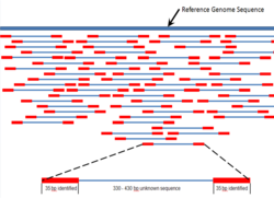 Multiple, fragmented sequence reads must be assembled together on the basis of their overlapping areas.