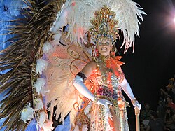 Woman parading in the Corrientes carnival in 2012.