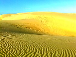 Médanos de Coro National Park, Paraguaná Peninsula, Falcón State, Venezuela