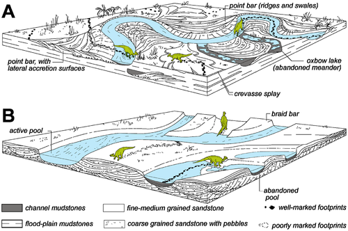 Diagram showing how dinosaur footprints are preserved in different deposits