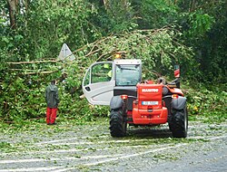 Numerous trees fell across Guadeloupe, clogging roadways with debris.