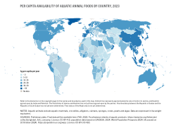 Per capita availability of aquatic animal foods by country, 2023