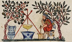 A medieval physician preparing an extract from a medicinal plant, from an Arabic Dioscorides, 1224