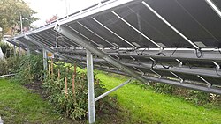 Tomatoes under solar panels in Dornbirn, Austria