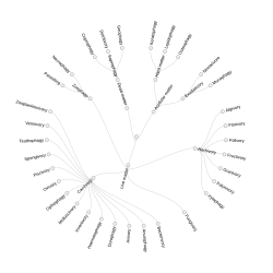 Circular dendrogram of feeding behaviours