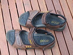 A pair of Sandals