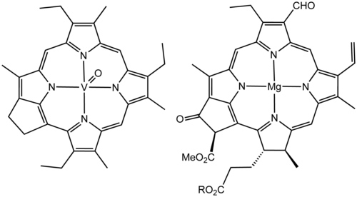 The close structural similarity of vanadium porphyrin compound (left) extracted from petroleum and chlorophyll a (right) established the biological origin of petroleum.
