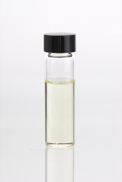 Laurus nobilis essential oil in clear glass vial