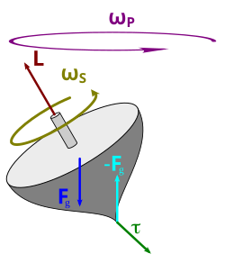 The torque caused by the two opposing forces Fg and −Fg causes a change in the angular momentum L in the direction of that torque (since torque is the time derivative of angular momentum). This causes the top to precess.