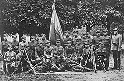 Ukrainian Galician Army posing with a blue-yellow flag