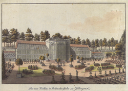 The new greenhouse for the academic botanic garden circa 1810