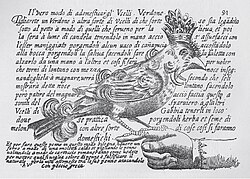 Antonio Valli da Todi, who wrote on aviculture in 1601, knew the connections between territory and song.[34]
