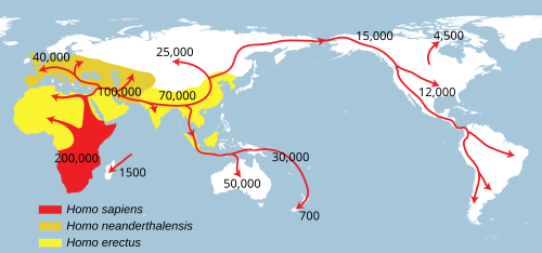 Successive dispersals of Homo erectus (yellow), Homo neanderthalensis (ochre) during Out of Africa I and Homo sapiens (red, Out of Africa II), with the numbers of years since they appeared before present.