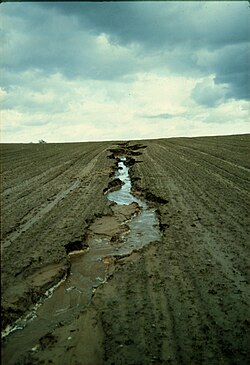 An actively eroding rill on an intensively-farmed field in eastern Germany. This phenomenon is aggravated by poor agricultural practices because when ploughing, the furrows were traced in the direction of the slope rather than that of the terrain contour lines.