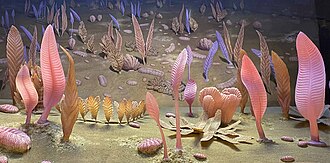 A diorama of the macroscopic organisms of the Avalon assemblage at the Smithsonian National Museum of Natural History.