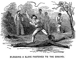 Flogging a slave fastened to the ground, illustration in an 1853 anti-slavery pamphlet